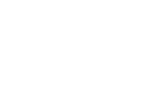 Steven Norris Law Firm logo